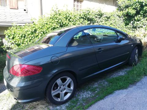 Peugeot 307 cc 2.0 16V Vert