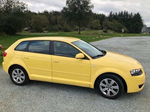 Audi Audi A3 1,6 Sportback 99850Km Audi A3 1,6 Sportback Diesel 99850Km Jaune