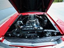 Ford  Mustang Ford  Rouge